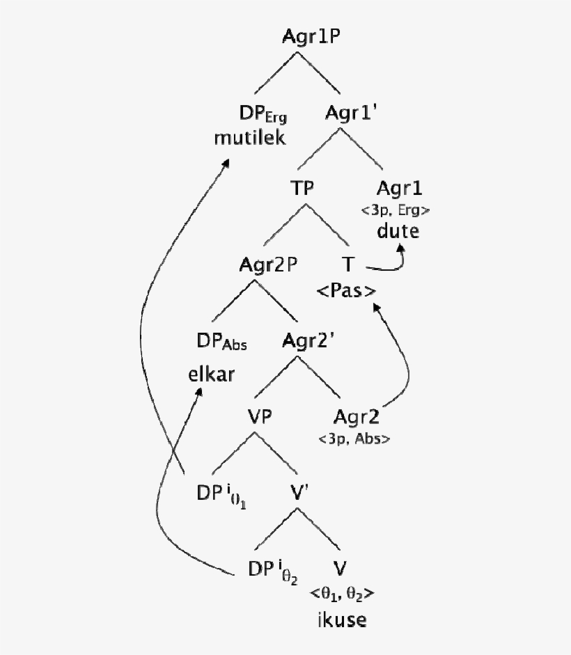 Diagrama De Relaciones Entre Los Componentes De Una - Sentence, transparent png #4039764