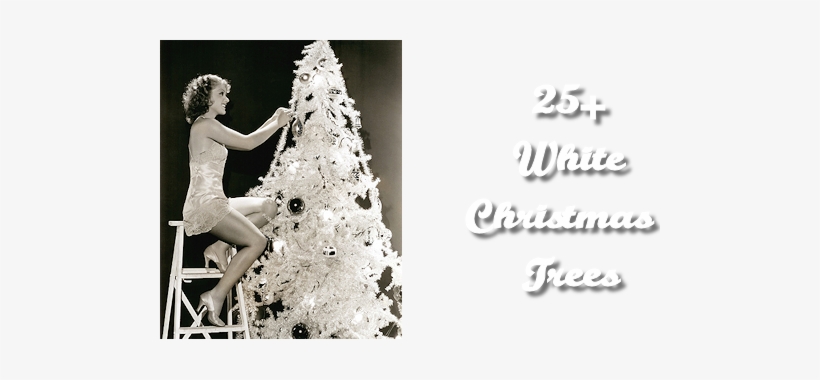 Woman Decorating Tree Vintage, transparent png #4039840