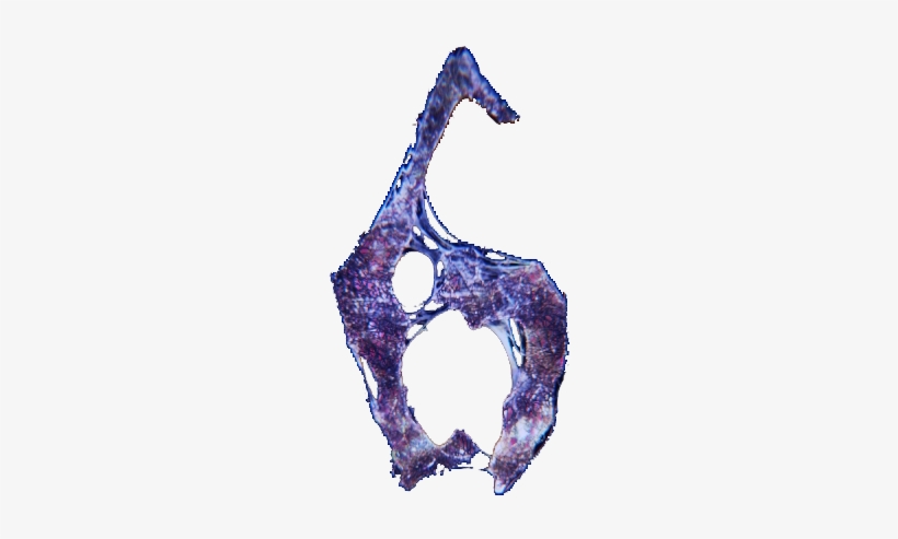 Resident Evil 6 Logo, Resident Evil 6 In 85406 Zolling Fur 7 50 Zum Verkauf Shpock At, Capcom confirmed resident evil 6 will be hitting stores on november 20th but only for the xbox 360 and ps3.