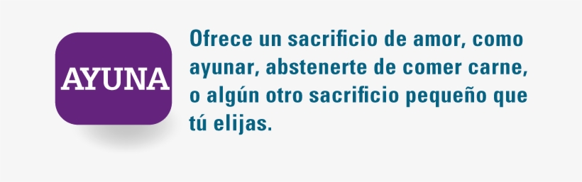 Ctp Spanish White Fast - Holstein Switzerland Nature Park, transparent png #4040198