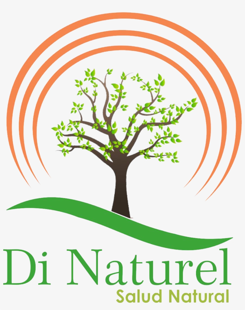 Di Naturel Logo Dise O Web Monterrey - Illustration, transparent png #4040421