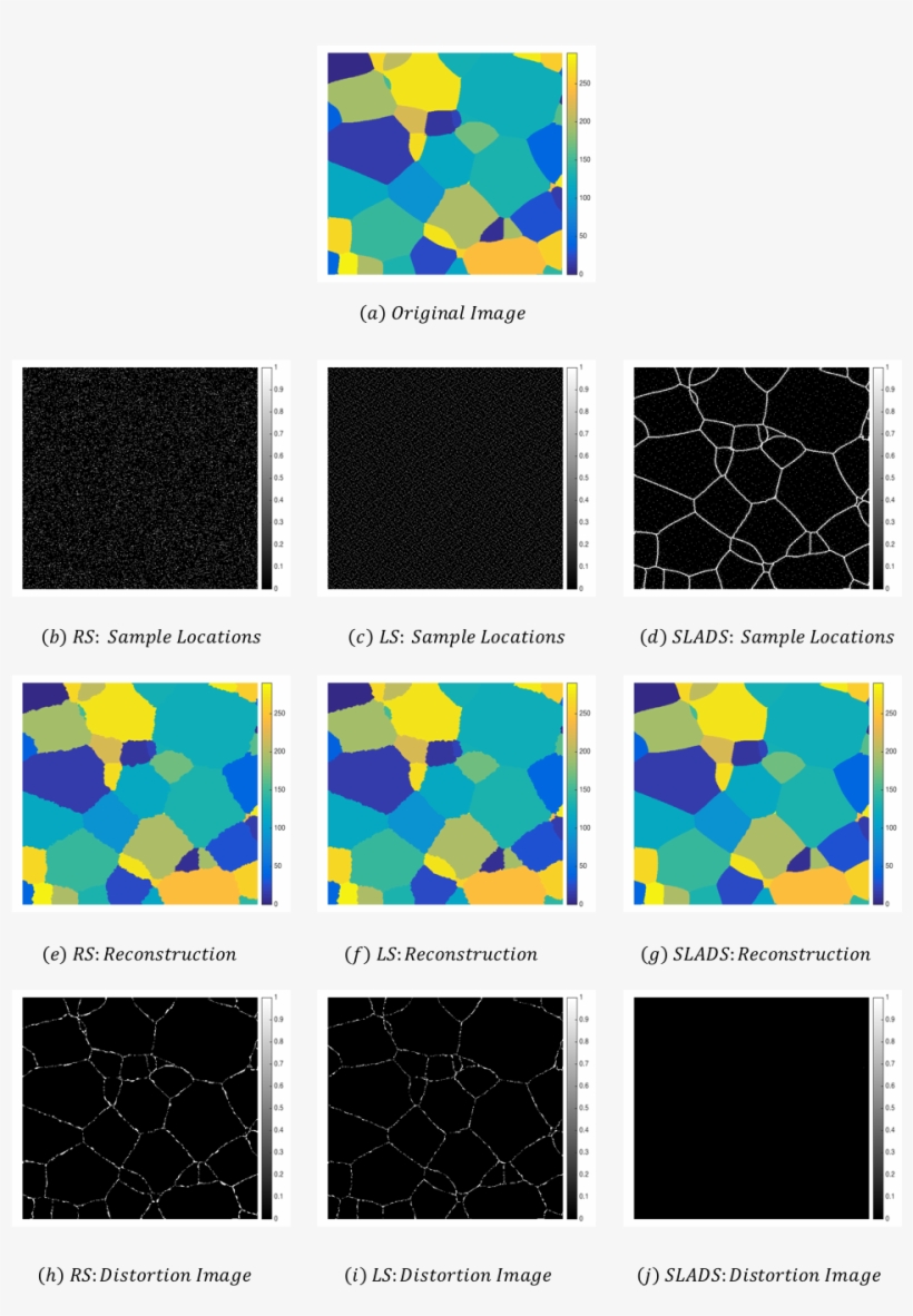 Images Illustrating The Sampling Locations, Reconstructions - Varnish, transparent png #4040430