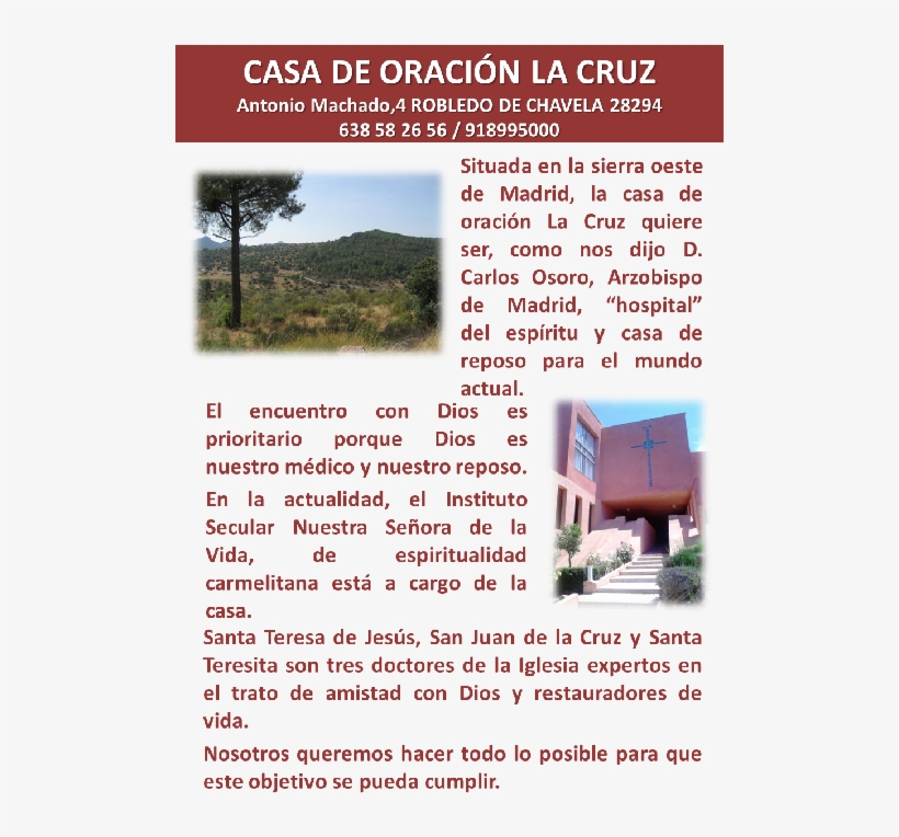 Tree, transparent png #4040713