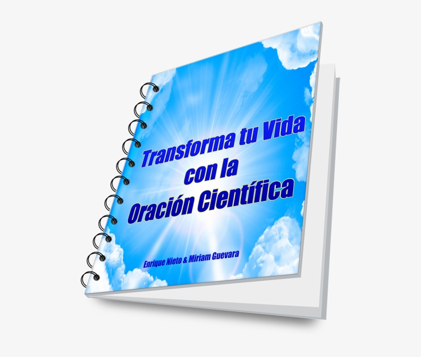 Increase Stem Cells In Your Penis, transparent png #4040768