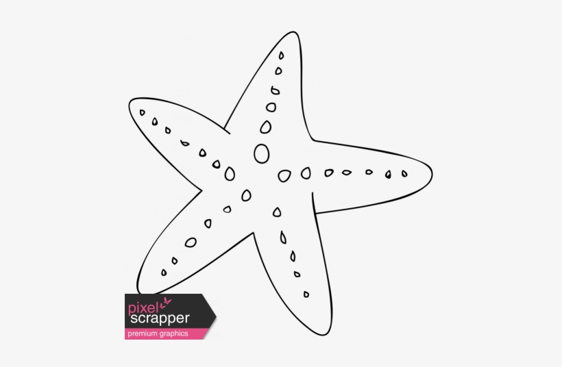 Cartoon Starfish Template - Starfish Template, transparent png #4040898
