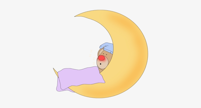 Bear Sleeping - Bear Sleeping In Moon, transparent png #4041001