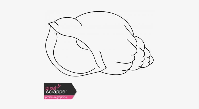 Cartoon Seashell Template - Seashell, transparent png #4041325