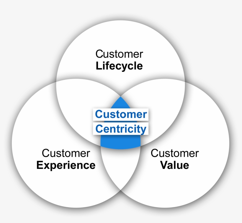 Customer Centricity Model - Put Your Customer First, transparent png #4041506