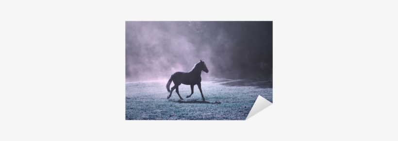 Fantasy Morning Sunlight Meadow With Brown Horse And - Stallion, transparent png #4042014