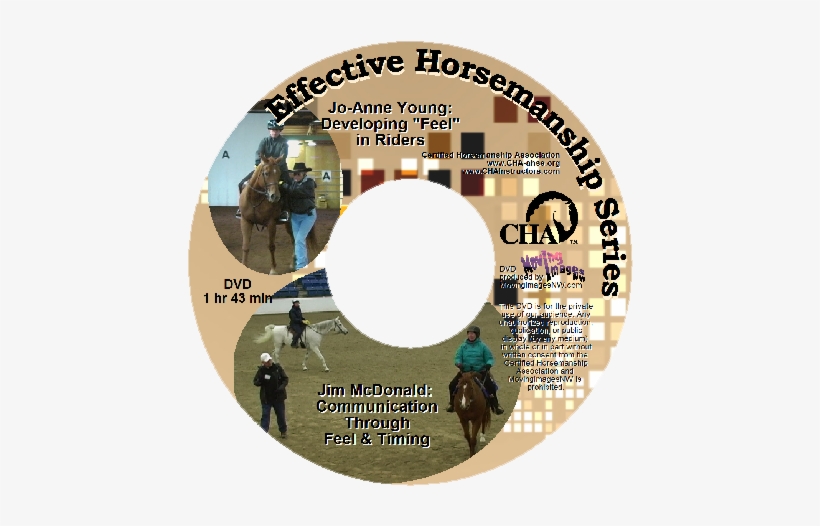 Developing Feel In Riders Dvd Cover - Megan Henderson, transparent png #4042249