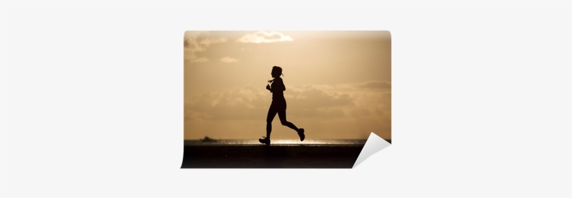 Sunset, transparent png #4042535