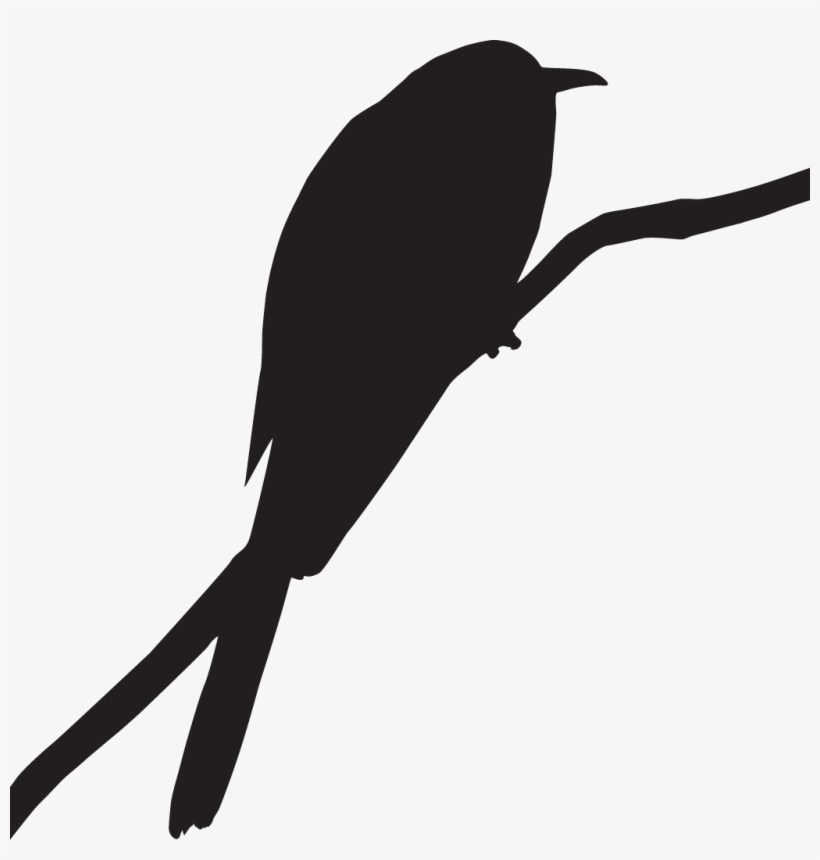 Greater Roadrunner Overview, All About Birds, Cornell, transparent png #4042949