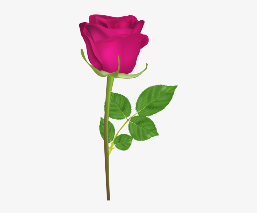 Rose Png - Happy Birthday Rose Gif, transparent png #4043024