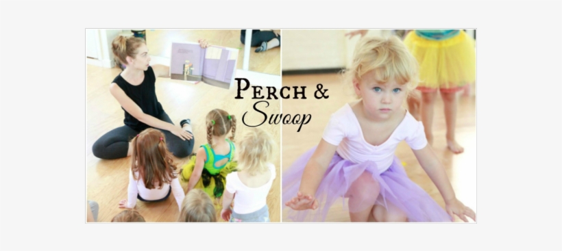 Perch & Swoop Trial Class August 30th - Portable Network Graphics, transparent png #4043146