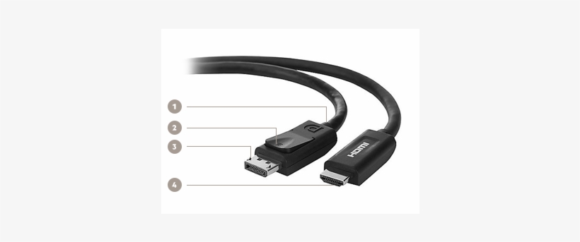 Cable Components - - Belkin F2cd001b06-e Displayport To Hdmi Cable, transparent png #4043194