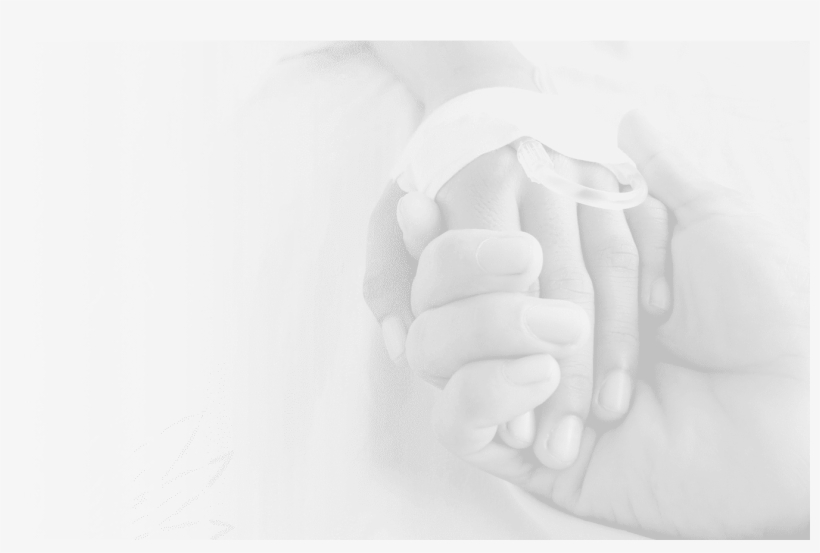 Hif Hospital Cover - Hospital, transparent png #4043943