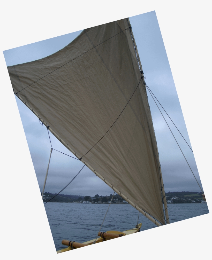 Crabclaw-sail ] - Portable Network Graphics, transparent png #4044858