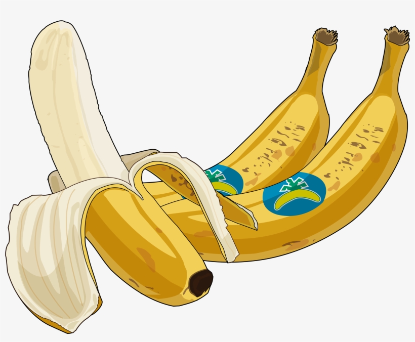 Archivo - Platano-canario - Platano De Canarias Png, transparent png #4045435