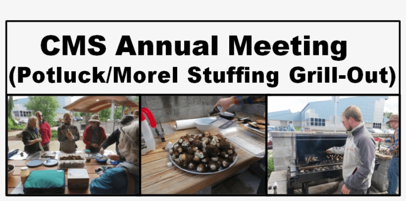 The Cms Annual Membership Meeting Will Be Held Sunday - Scouting, transparent png #4045461