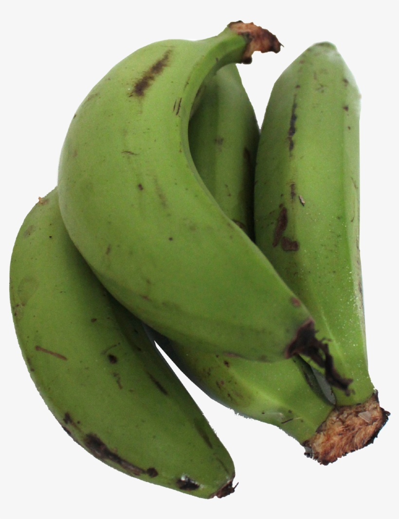 Solamente Nos Queda Por Revelar Que El Plátano Guineo - Saba Banana, transparent png #4045571