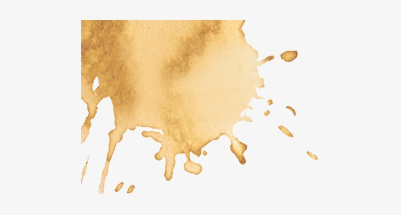 Gsolar - Paint, transparent png #4045594