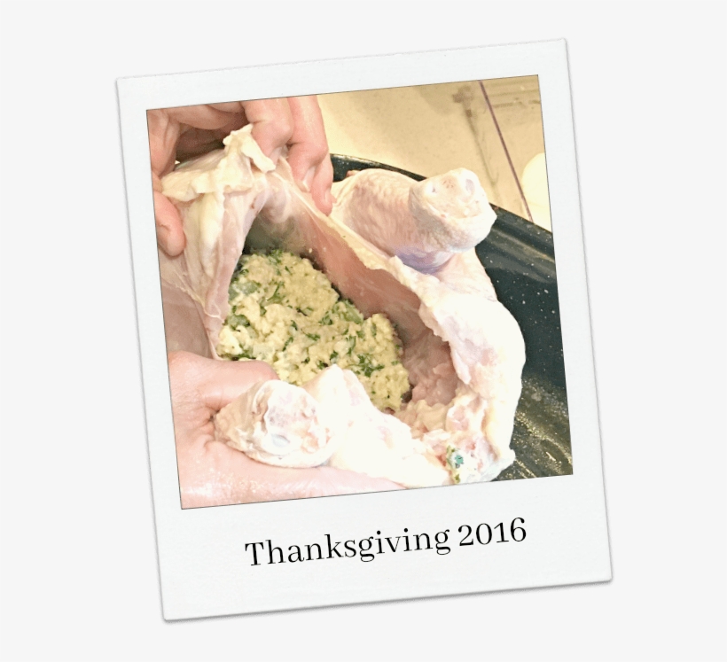 Retro Cracker Stuffing Dressing - Stuffing, transparent png #4045640