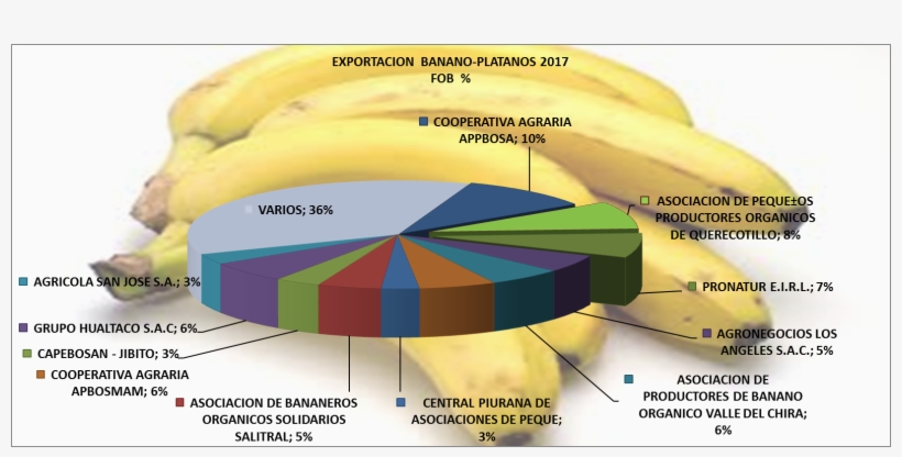 Plátano Banano Perú Exportación 2017 Marzo - Banano Criollo En Guatemala, transparent png #4046217
