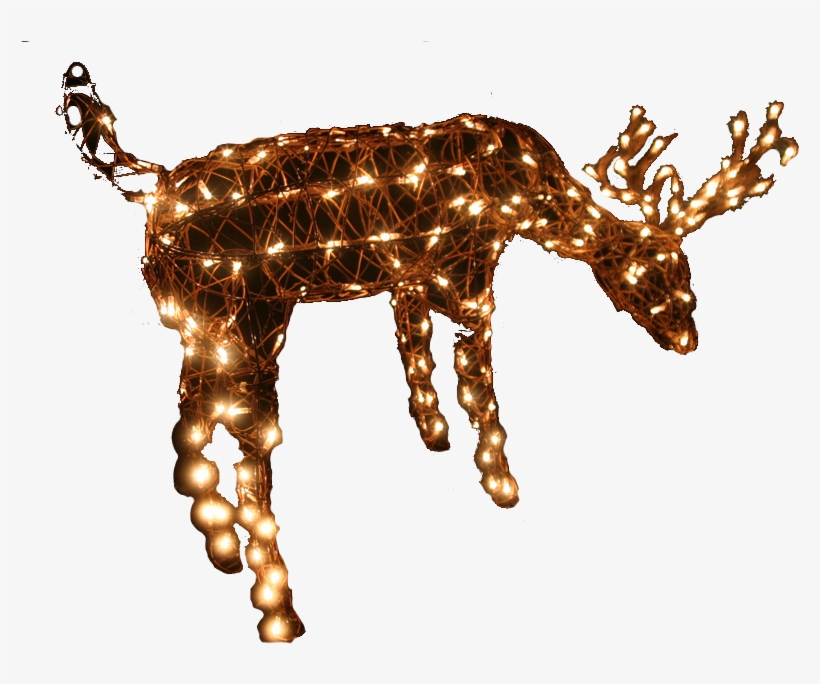 Photo Christmas Reindeer Light 5m Lead 1286 P - Christmas Day, transparent png #4046460