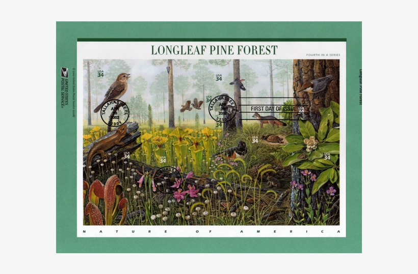 Carnivorous Plant Stamps - Nature Of America Stamp Series, transparent png #4046940