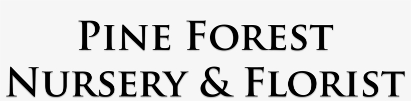 Barbados, transparent png #4047093