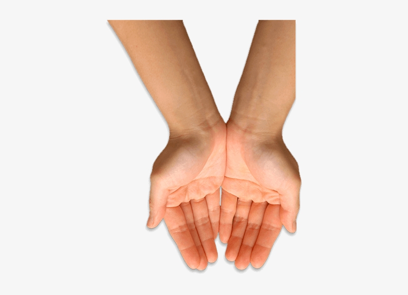 Palmistry, transparent png #4047555