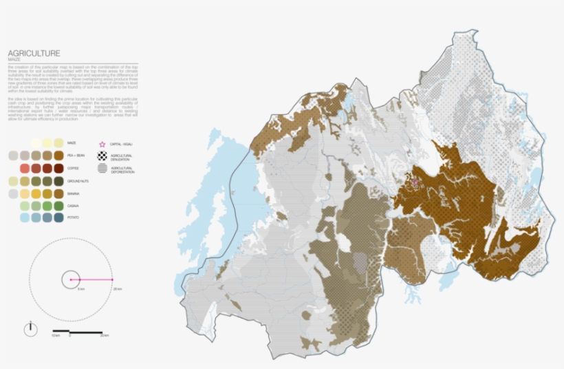 Mappingrwanda Agriculture-maize - Agriculture, transparent png #4047675