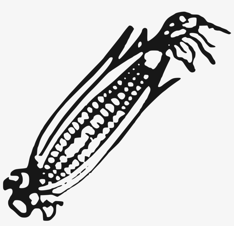 Open - People's Party Of Arunachal Symbol, transparent png #4047929