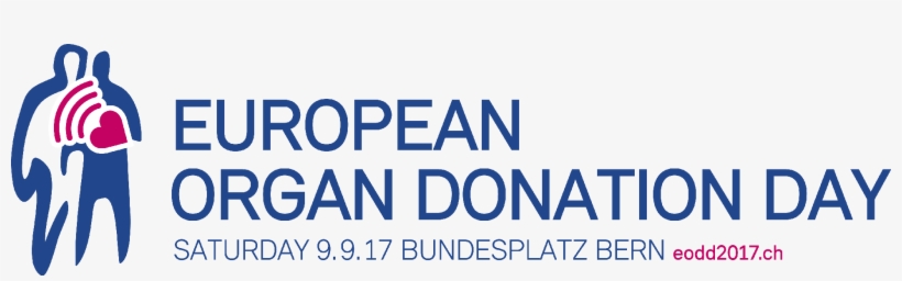 Download Png Here - Occupational Therapy, transparent png #4048090