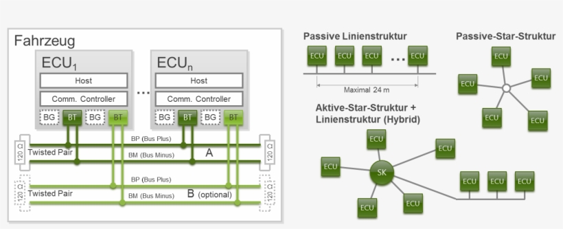File - Flexray-physicallayer - Diagram, transparent png #4048909