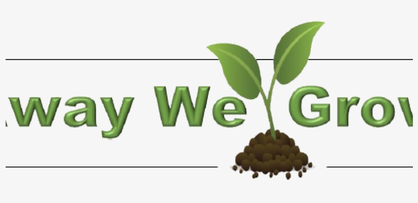 Away We Grow - Pray For Guatemala Volcano, transparent png #4049614