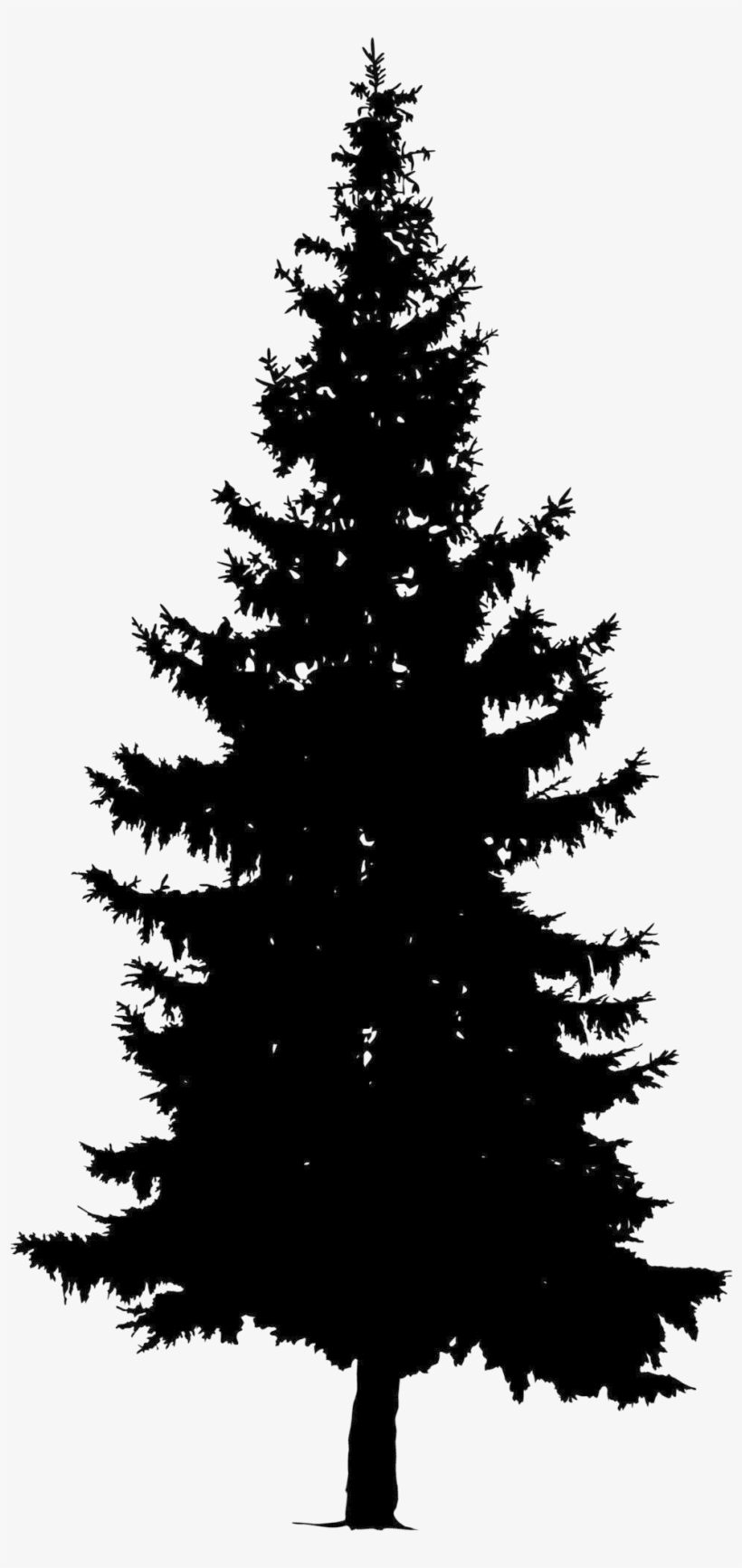 Welcome To Britt's Café - Pine Tree Vector Png - Free Transparent PNG