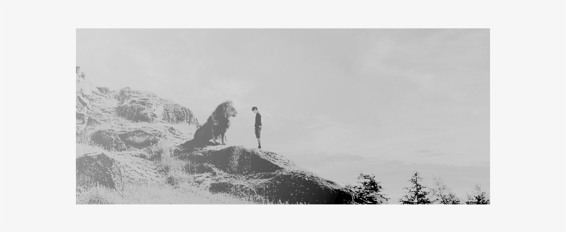 Of The Great Western Wood - The Chronicles Of Narnia: The Lion, The Witch And The, transparent png #4050292