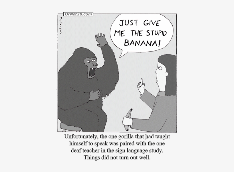 Previous Comic, Gorilla Sign Language - Gorilla Sign Language Greeting Card, transparent png #4050456