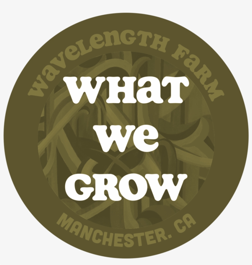What We Grow - Hillary, transparent png #4050564