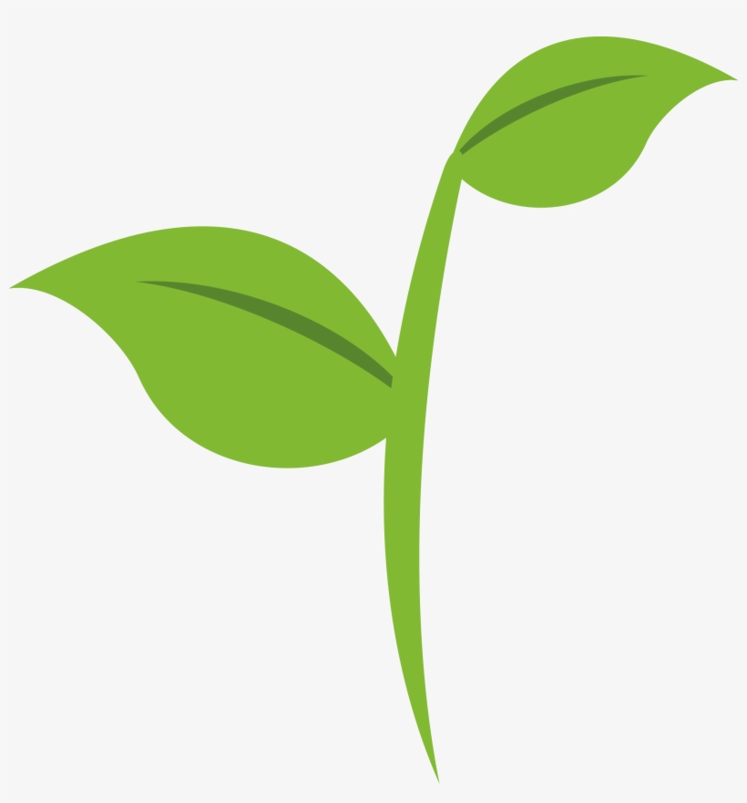 We Grow, transparent png #4050672
