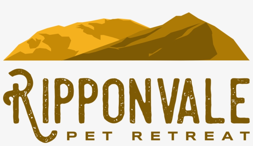 Home - #period Hacks, transparent png #4051069