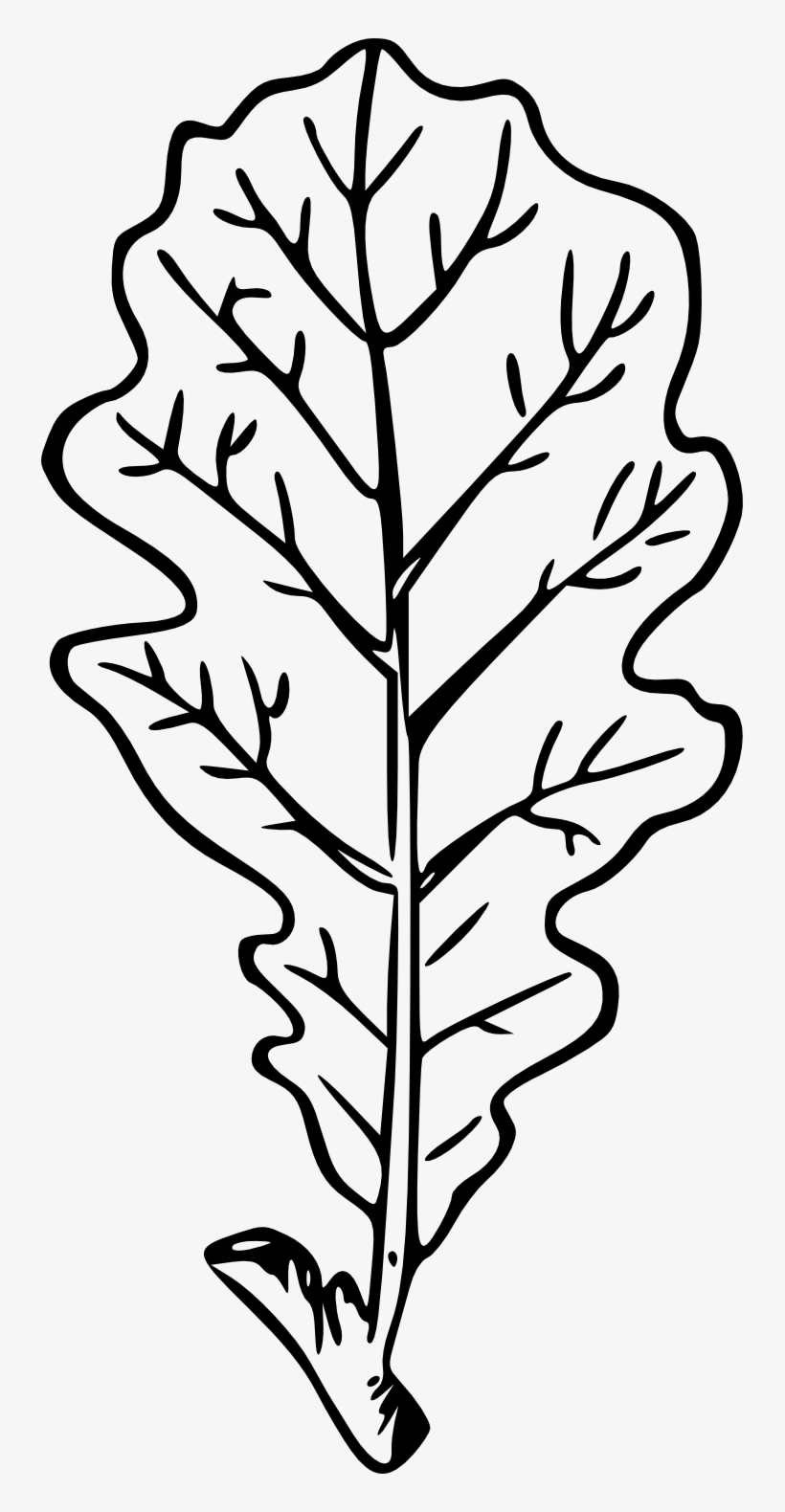 Drawn Leaves Transparent - Drawing, transparent png #4052001