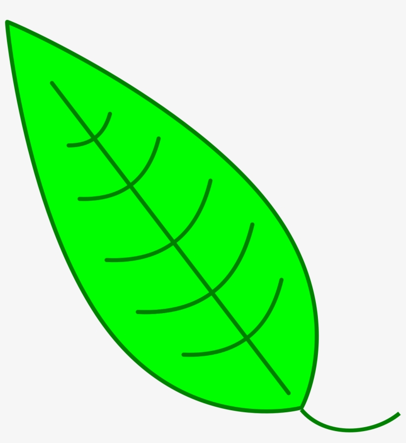 Leaf Clipart Simple - Hojas De Arbol Verde Png, transparent png #4052093