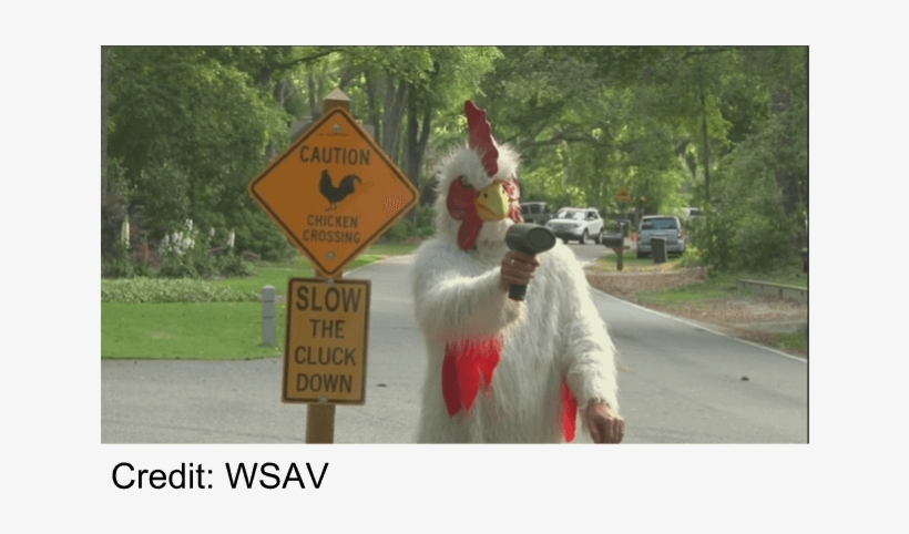 Residents In One - Slow The Cluck Down, transparent png #4053661