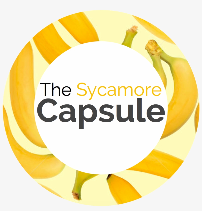 Welcome To Sycamore Class Capsule - Curriculum, transparent png #4054267