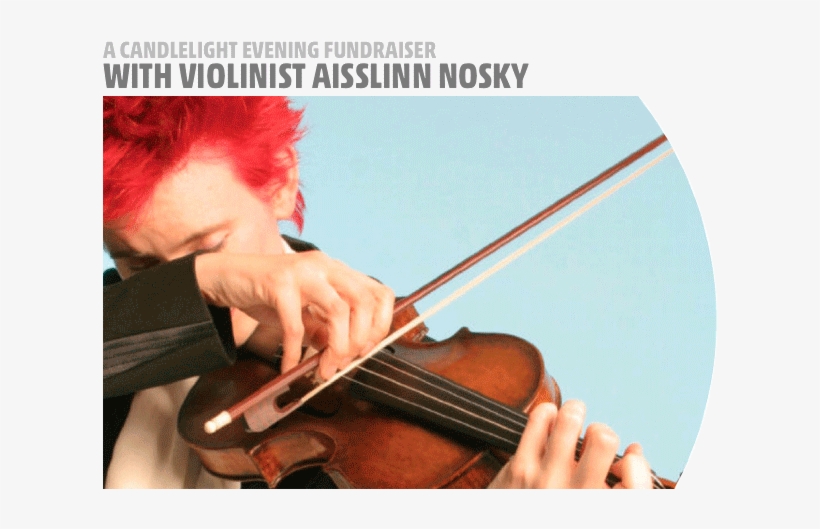 Mco / Aisslinn Nosky - Charlotte Symphony Orchestra, transparent png #4054433