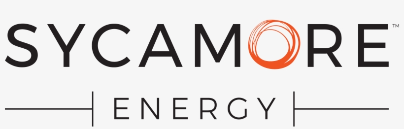 Ny Signature Properties Logo, transparent png #4054475