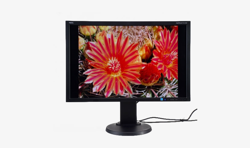 To Paraphrase An Old Adage - Nec Multisync E245wmi, transparent png #4054581
