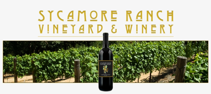 Sycamore-ranch - Sycamore Ranch Vineyard & Winery, transparent png #4054606